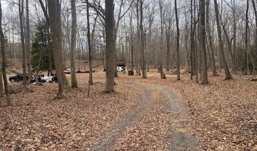 Photo #1 of 13220 BLACKWOOD FOREST DR, GOLDVEIN, VA 10.9 acres
