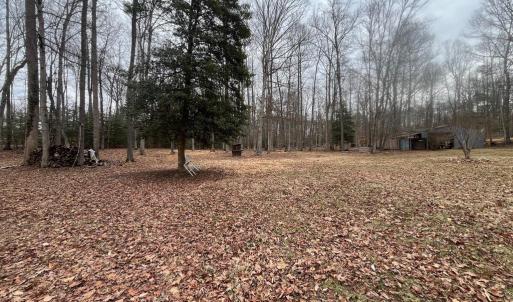 Photo #8 of 13220 BLACKWOOD FOREST DR, GOLDVEIN, VA 10.9 acres