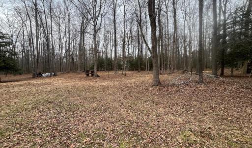 Photo #9 of 13220 BLACKWOOD FOREST DR, GOLDVEIN, VA 10.9 acres