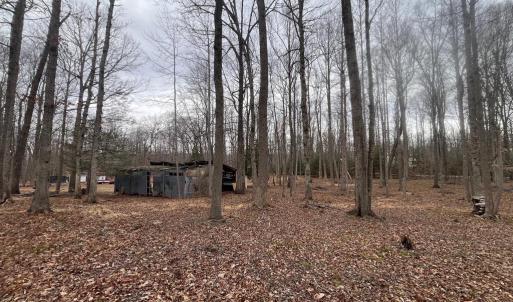 Photo #10 of 13220 BLACKWOOD FOREST DR, GOLDVEIN, VA 10.9 acres