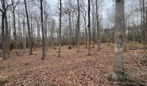 Photo #11 of 13220 BLACKWOOD FOREST DR, GOLDVEIN, VA 10.9 acres