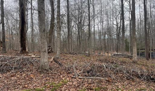 Photo #12 of 13220 BLACKWOOD FOREST DR, GOLDVEIN, VA 10.9 acres