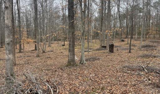 Photo #13 of 13220 BLACKWOOD FOREST DR, GOLDVEIN, VA 10.9 acres