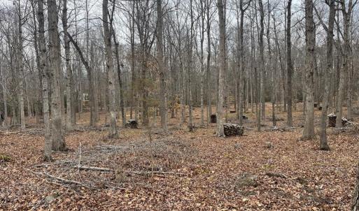 Photo #14 of 13220 BLACKWOOD FOREST DR, GOLDVEIN, VA 10.9 acres