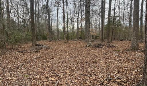 Photo #15 of 13220 BLACKWOOD FOREST DR, GOLDVEIN, VA 10.9 acres