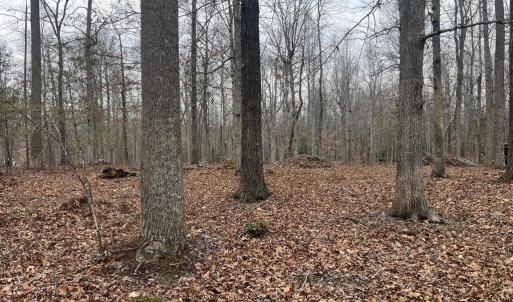Photo #16 of 13220 BLACKWOOD FOREST DR, GOLDVEIN, VA 10.9 acres