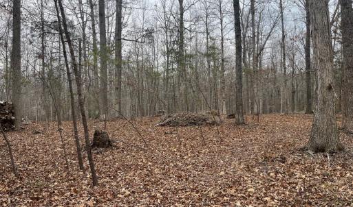 Photo #18 of 13220 BLACKWOOD FOREST DR, GOLDVEIN, VA 10.9 acres