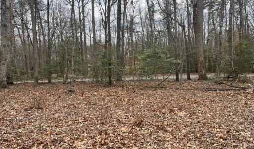 Photo #19 of 13220 BLACKWOOD FOREST DR, GOLDVEIN, VA 10.9 acres