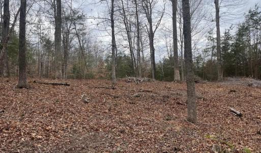 Photo #20 of 13220 BLACKWOOD FOREST DR, GOLDVEIN, VA 10.9 acres