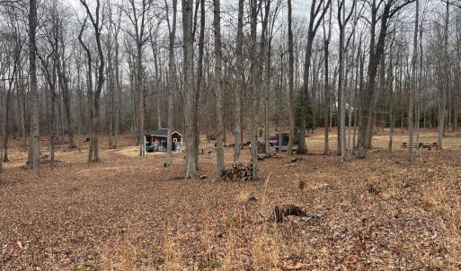 Photo #21 of 13220 BLACKWOOD FOREST DR, GOLDVEIN, VA 10.9 acres