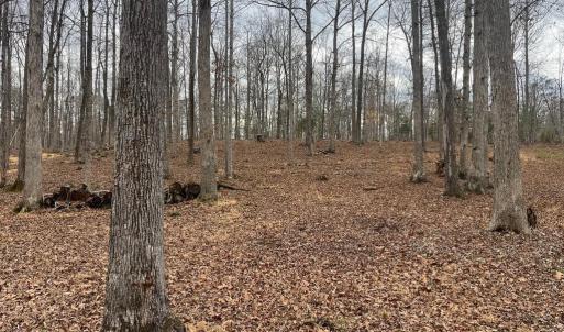 Photo #22 of 13220 BLACKWOOD FOREST DR, GOLDVEIN, VA 10.9 acres