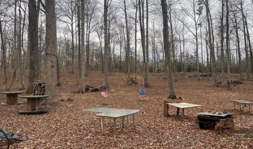 Photo #23 of 13220 BLACKWOOD FOREST DR, GOLDVEIN, VA 10.9 acres