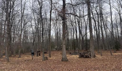 Photo #24 of 13220 BLACKWOOD FOREST DR, GOLDVEIN, VA 10.9 acres