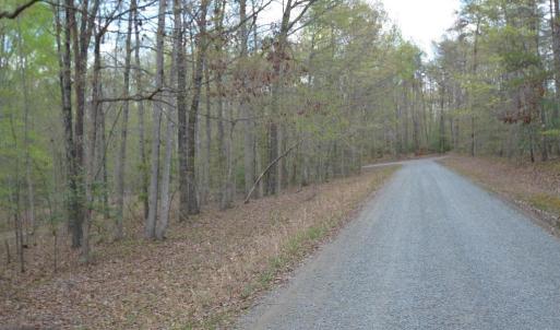 Photo #5 of 13220 BLACKWOOD FOREST DR, GOLDVEIN, VA 10.9 acres