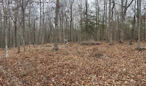 Photo #17 of 13220 BLACKWOOD FOREST DR, GOLDVEIN, VA 10.9 acres