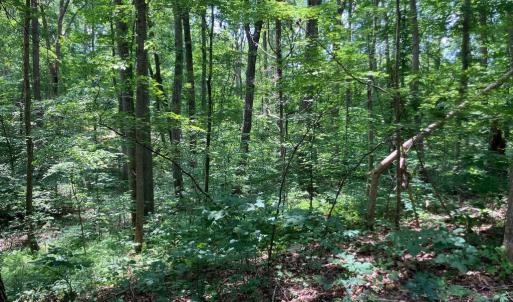 Photo #17 of LAKESHORE DR, LOUISA, VA 0.4 acres
