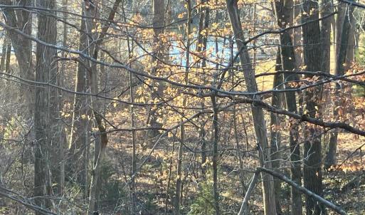 Photo #4 of LAKESHORE DR, LOUISA, VA 0.4 acres