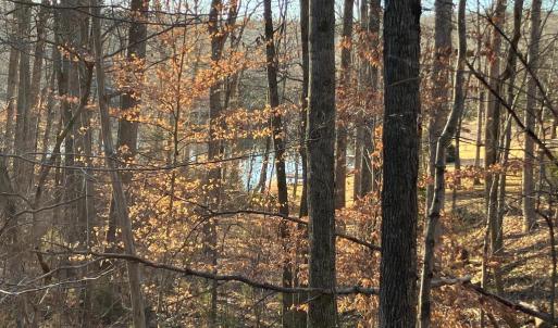 Photo #2 of LAKESHORE DR, LOUISA, VA 0.4 acres