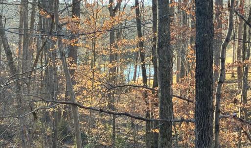 Photo #3 of LAKESHORE DR, LOUISA, VA 0.4 acres