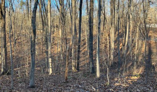 Photo #7 of LAKESHORE DR, LOUISA, VA 0.4 acres