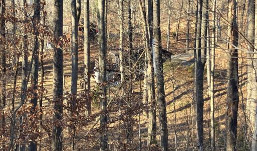 Photo #8 of LAKESHORE DR, LOUISA, VA 0.4 acres