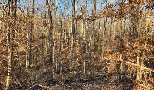 Photo #14 of LAKESHORE DR, LOUISA, VA 0.4 acres
