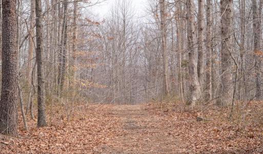 Photo #1 of DEEP RUN MILL ROAD, GOLDVEIN, VA 7.1 acres