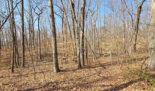 Photo #8 of LAKEFRONT CT, ORANGE, VA 5.3 acres
