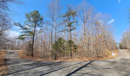 Photo #3 of LAKEFRONT CT, ORANGE, VA 5.3 acres