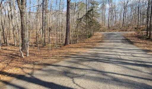 Photo #4 of LAKEFRONT CT, ORANGE, VA 5.3 acres