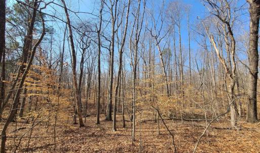 Photo #5 of LAKEFRONT CT, ORANGE, VA 5.3 acres