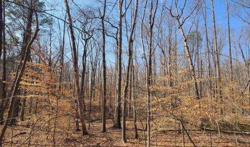 Photo #7 of LAKEFRONT CT, ORANGE, VA 5.3 acres
