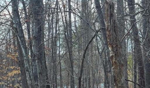 Photo #10 of LAKEFRONT CT, ORANGE, VA 5.3 acres