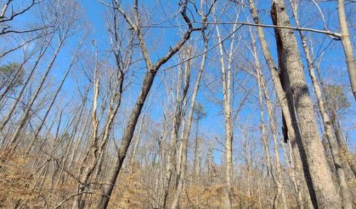 Photo #7 of LAKEFRONT CT, ORANGE, VA 5.3 acres