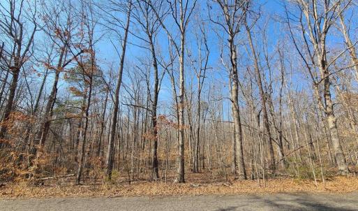 Photo #3 of LAKEFRONT CT, ORANGE, VA 5.3 acres