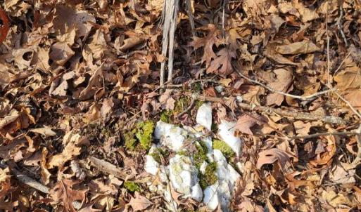 Photo #10 of LAKEFRONT CT, ORANGE, VA 5.3 acres