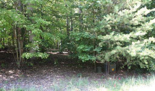 Photo #4 of FISHER DRIVE, MINERAL, VA 2.0 acres