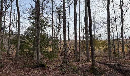 Photo #3 of  35.0 acres