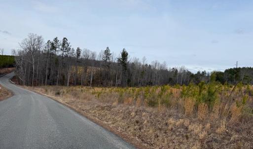 Photo #5 of  35.0 acres