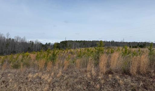 Photo #6 of  35.0 acres