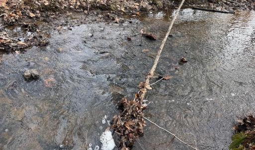 Photo #10 of  35.0 acres