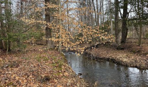 Photo #11 of  35.0 acres