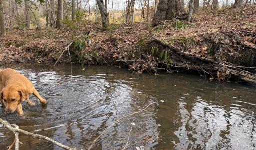 Photo #13 of  35.0 acres