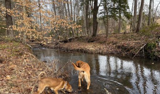 Photo #16 of  35.0 acres