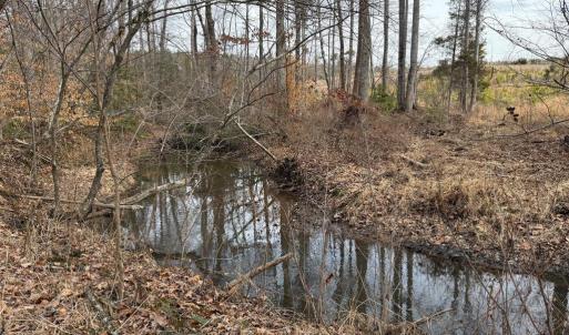 Photo #19 of  35.0 acres