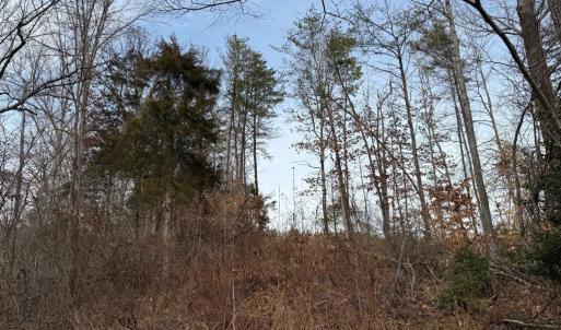 Photo #20 of  35.0 acres