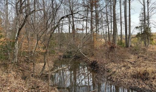 Photo #22 of  35.0 acres