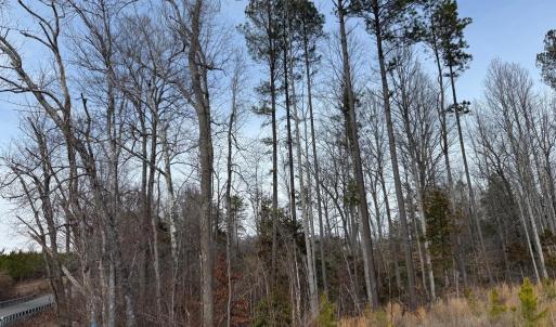 Photo #26 of  35.0 acres