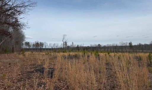 Photo #30 of  35.0 acres