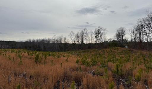 Photo #36 of  35.0 acres